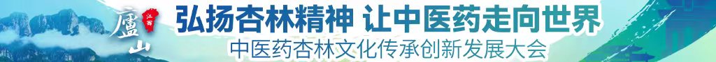 美女狂操大鸡巴中医药杏林文化传承创新发展大会